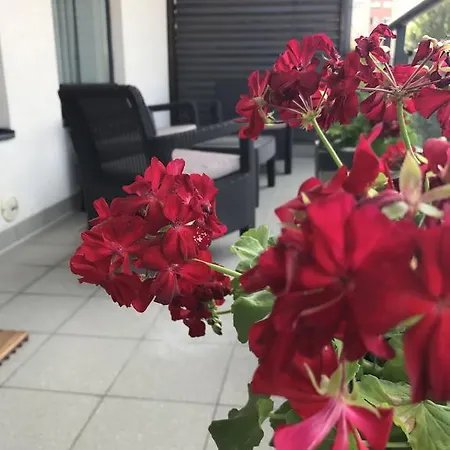Newtown Apartament Bucureşti